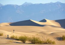The Mojave Desert Travel Guide