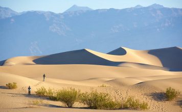 The Mojave Desert Travel Guide