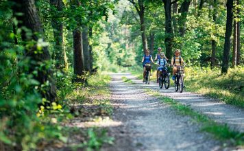 Top 10 Ideas for a Greener Vacation