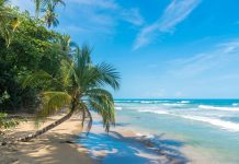 Costa Rica: Living La Vida Loca