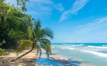 Costa Rica: Living La Vida Loca