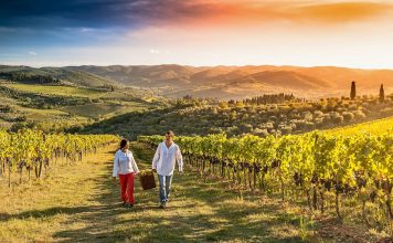 USA Resorts that are Awesome for Lovers