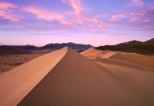 California Desert Travel Insights